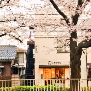 Coffee ga sameru mae ni dari Kanako