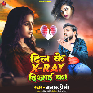 ดาวน์โหลดและฟังเพลง Dil Ke X-Ray Dikhai Ka พร้อมเนื้อเพลงจาก Alau Premi