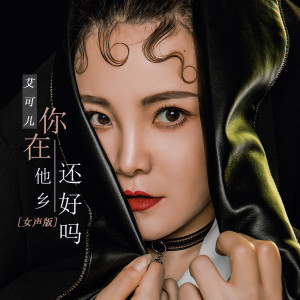 收听艾可儿的你在他乡还好吗 (女声版)歌词歌曲