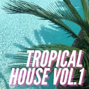 Various Artists的專輯Tropical House Vol.1