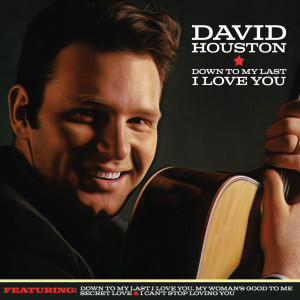 Album Down to My Last I Love You from David Houston
