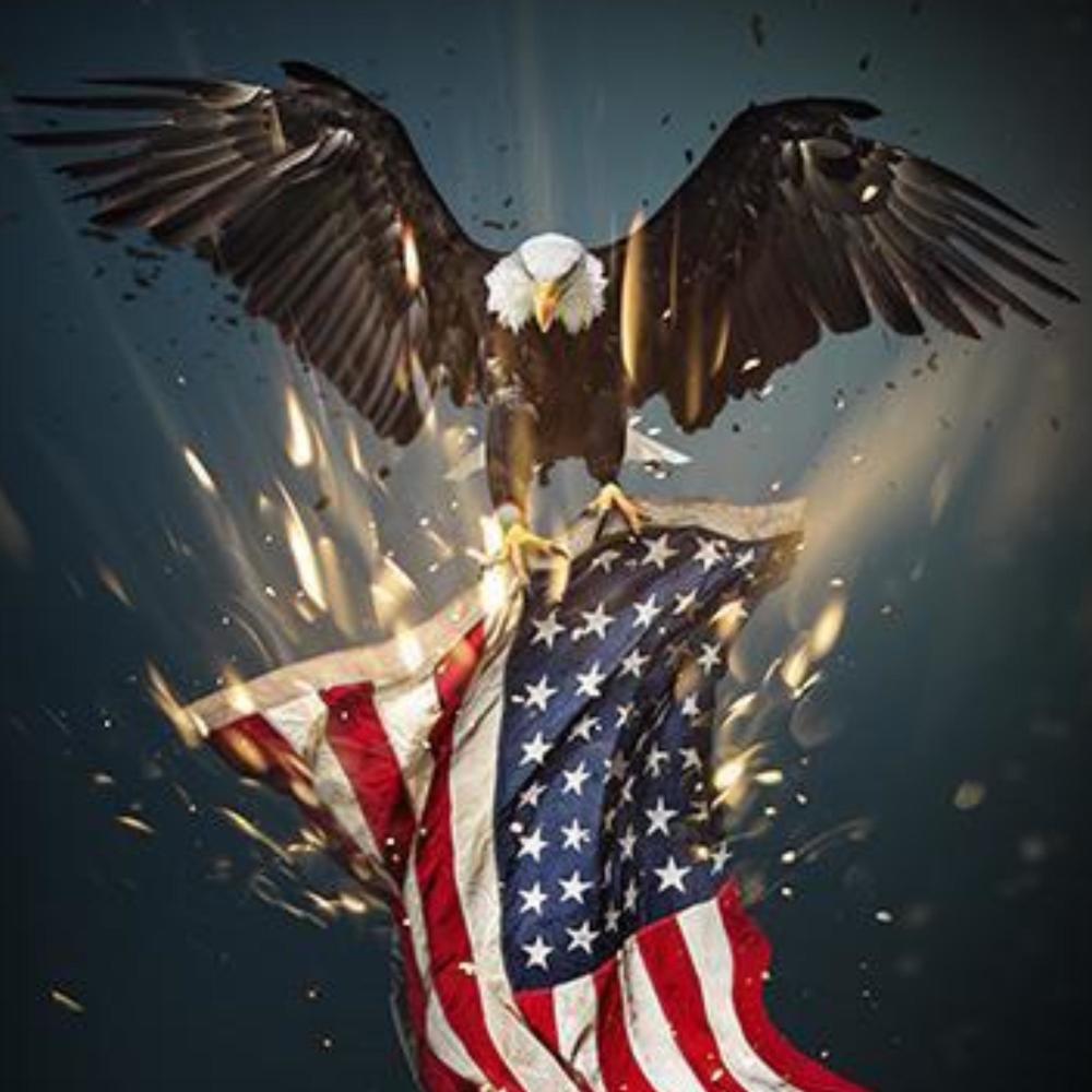 Party N Tha USA (Explicit)