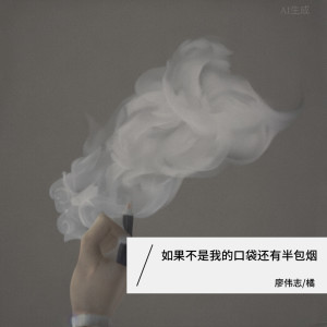Album 如果不是我的口袋还有半包烟 from 廖伟志