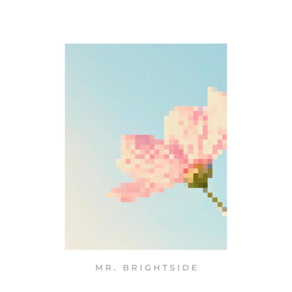 Mr. Brightside