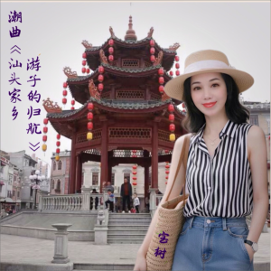 Album 潮曲：汕头家乡-游子的归航 from 宝树