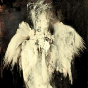 soexclusive的專輯foreignn (feat. Izaya Tiji Archive & youngvampmoney) [Explicit]