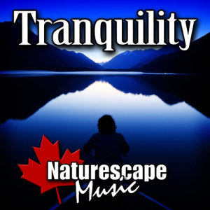 收聽Naturescape Music的Wordless Appeal - Relaxing Water Flow歌詞歌曲