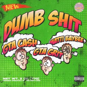 Listen to Dumb Shit (Explicit) song with lyrics from Gta Cash