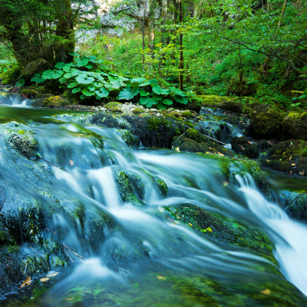 Lullaby of the Flowing River