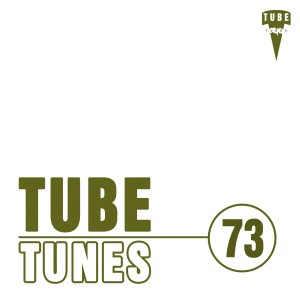 Various Artists的专辑Tube Tunes, Vol. 73