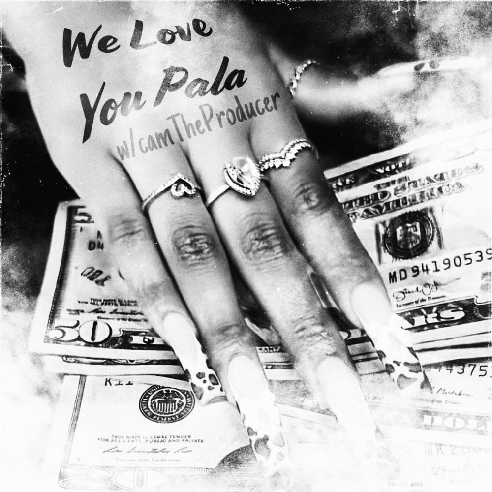 we love you pala (feat. camTheProducer) (REMIX)