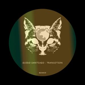 Guido Santiago的專輯Transition