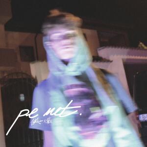 Album Pe Net (feat. Lil Alex) [Explicit] from GsA