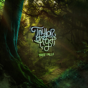 收聽Taylor Eigsti的Tree Falls歌詞歌曲