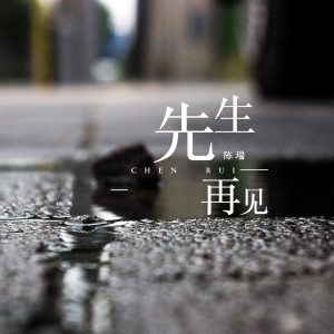 收聽陳瑞的先生再見歌詞歌曲