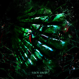 Dengarkan lagu Peace Of Mind (Explicit) nyanyian WIDOW REBORN dengan lirik