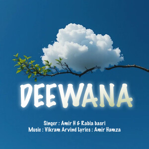 Amir H的專輯Deewana