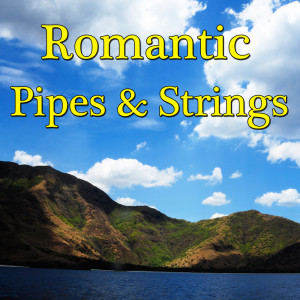 Listen to How Deep Is Your Love song with lyrics from Wildlife