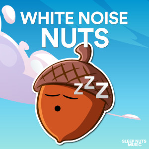 ดาวน์โหลดและฟังเพลง White Noise Baby Sleep Aid พร้อมเนื้อเพลงจาก White Noise Nuts