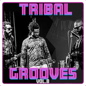 Tribal Grooves Vol. 8 dari 'Umar Abdul ''Aziz Fadar Bege'