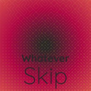 Various的专辑Whatever Skip