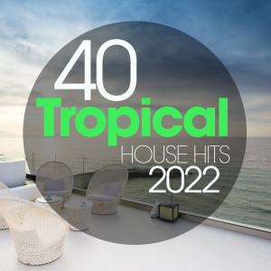 Album 40 Tropical House Hits 2022 from Various Artists