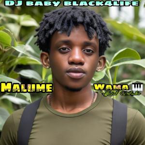 Dj baby black4life的專輯Malume-wamapiano (amapiano)