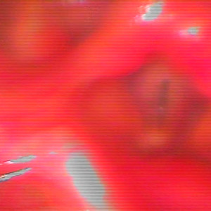 ดาวน์โหลดและฟังเพลง QÜASI TÜ DO EM MÊ LUGAR พร้อมเนื้อเพลงจาก Benkes