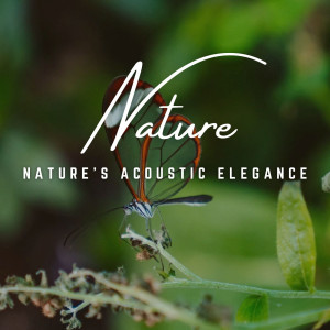 Nature's Acoustic Elegance: Earthly Harmonies