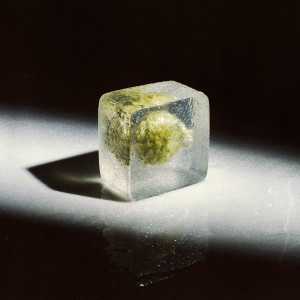 收听Death Of Heather的Head In The Sand歌词歌曲