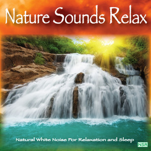 Listen to Nature Sounds & Native American Flute for Relaxing Sleep, Massage, Yoga & Spas song with lyrics from Nature Sounds Relax