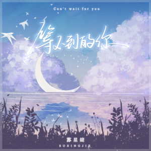 收聽蘇星婕的等不到的你 (釋懷版)歌詞歌曲
