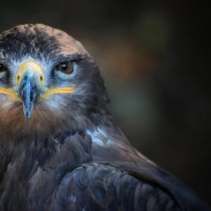 Dengarkan lagu Vida nas Ruas (Remastered 2023) nyanyian TR DO DP dengan lirik