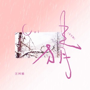 Album 猜 (我一点一点猜) from 汪珂楠