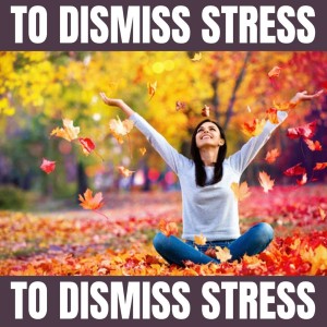 To Release Stress的专辑To Dismiss Stress
