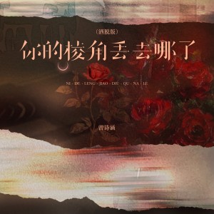 Listen to 你的棱角丢去哪了 (洒脱版伴奏) song with lyrics from 曾诗涵