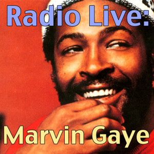 Listen to Lets Get It On (Live) song with lyrics from Marvin Gaye