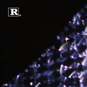 Album Cold World (Explicit) from Mikano