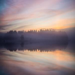 Listen to Forest Life song with lyrics from SPA