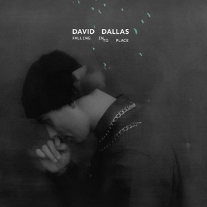 Album Falling Into Place oleh David Dallas