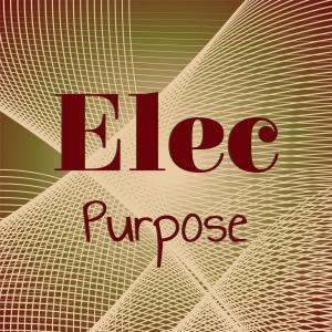 Album Elec Purpose from Various