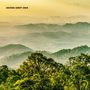 ดาวน์โหลดและฟังเพลง Soothing Canopy Choir พร้อมเนื้อเพลงจาก Mother Earth Sounds
