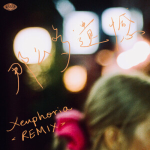 Album 那么多遗憾 (Xeuphoria Remix) from 陆可儿