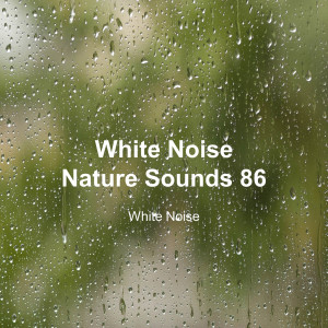 White Noise的专辑White Noise 86 (Rain Sounds, Bonfire Sound, Baby Sleep, Deep Sleep)