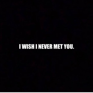 Domo Wilson的專輯I Wish I Never Met You (Explicit)