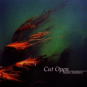 收聽Dwayne Sodahberk的You've Got Got歌詞歌曲