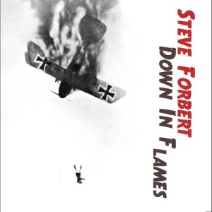 ดาวน์โหลดและฟังเพลง Underwatertown พร้อมเนื้อเพลงจาก Steve Forbert