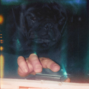 Album Anemoia (Explicit) from Wiseman
