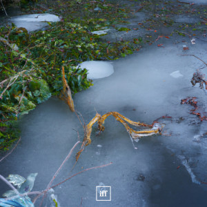 收听Paltamango的Ver Tu Vuelo me da Calma歌词歌曲