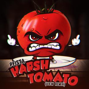 ดาวน์โหลดและฟังเพลง Harsh Tomato (VIEW Remix) พร้อมเนื้อเพลงจาก PFISTA